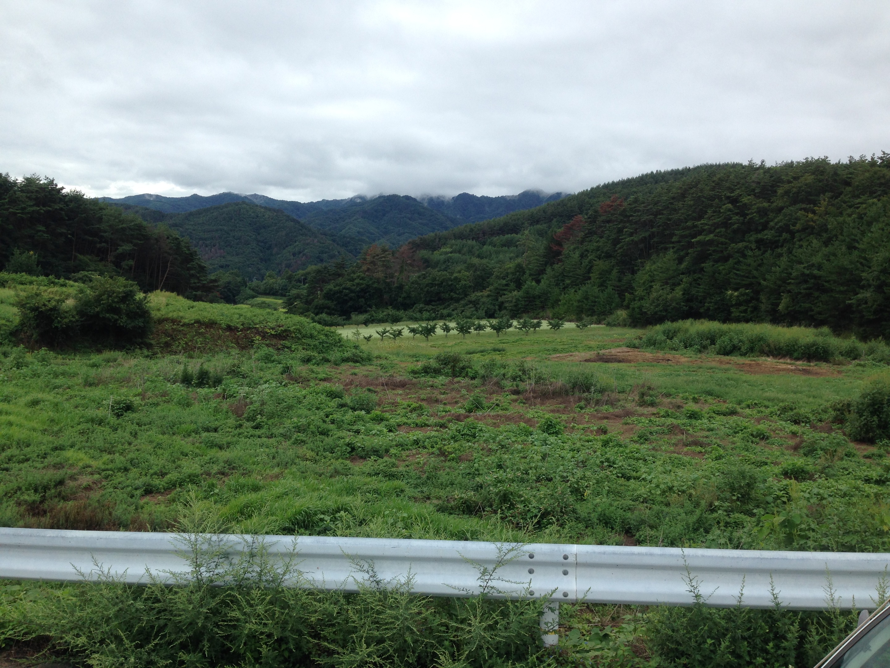 中山さん700m